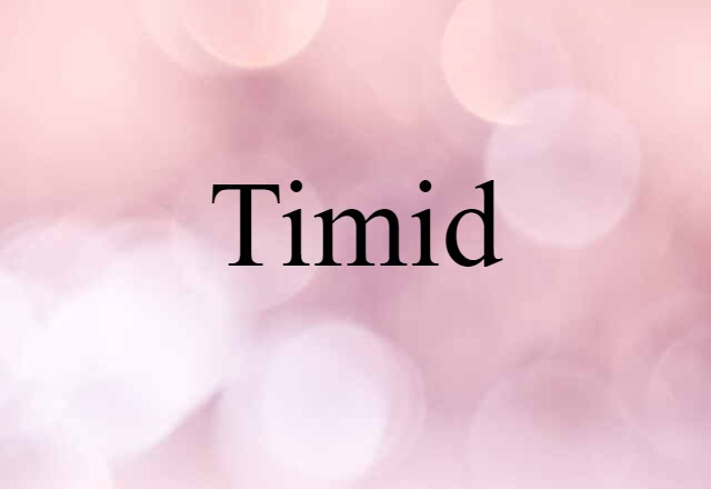 Timid (noun) Definition, Meaning & Examples