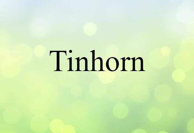 Tinhorn (noun) Definition, Meaning & Examples