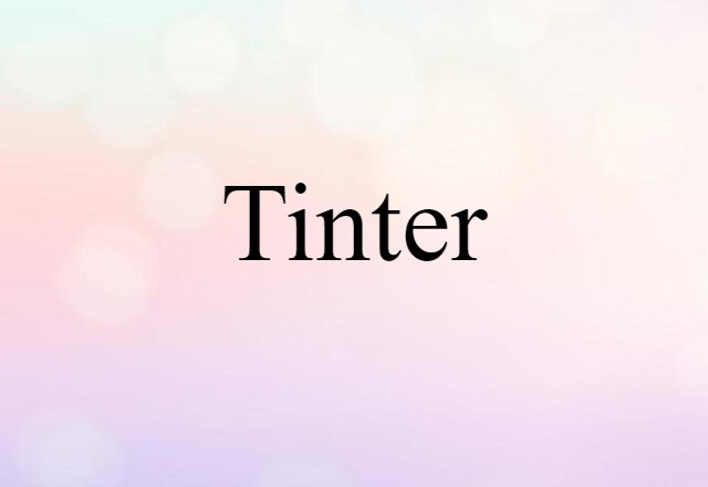 Tinter (noun) Definition, Meaning & Examples