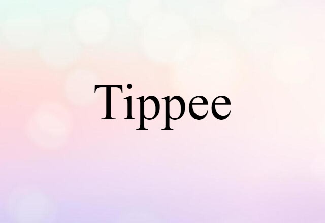 Tippee (noun) Definition, Meaning & Examples