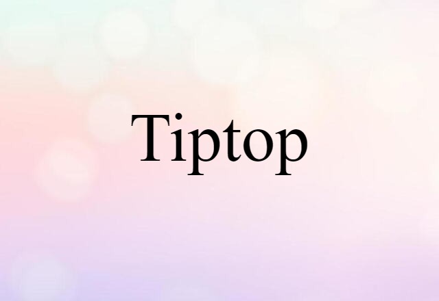 Tiptop (noun) Definition, Meaning & Examples