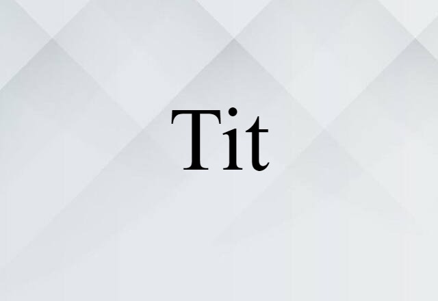 Tit (noun) Definition, Meaning & Examples