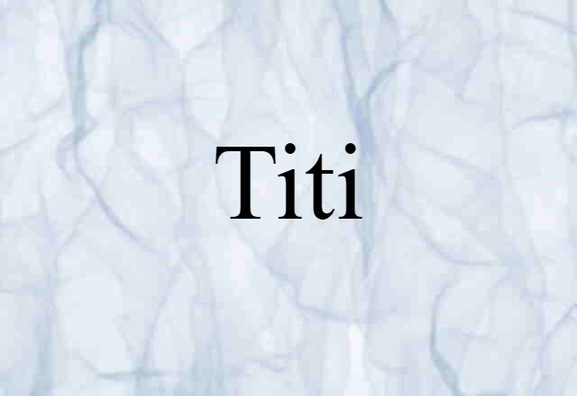 Titi (noun) Definition, Meaning & Examples