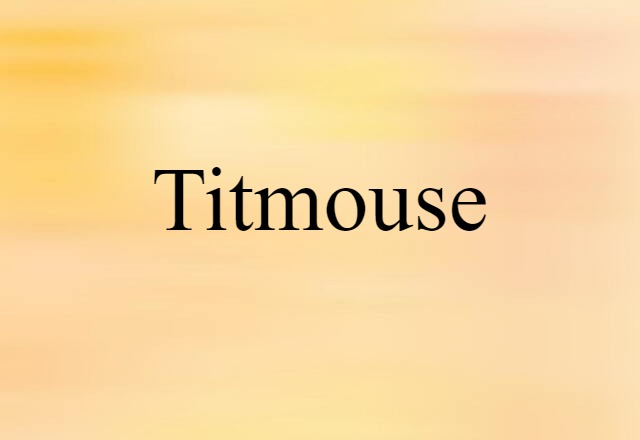 Titmouse (noun) Definition, Meaning & Examples