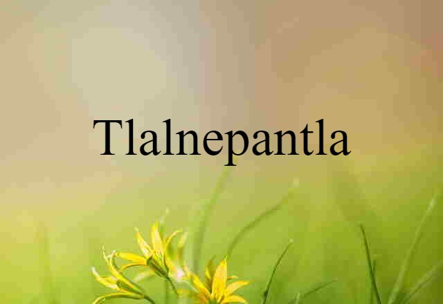 Tlalnepantla (noun) Definition, Meaning & Examples