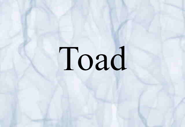 toad