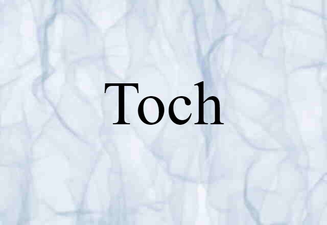 Toch (noun) Definition, Meaning & Examples