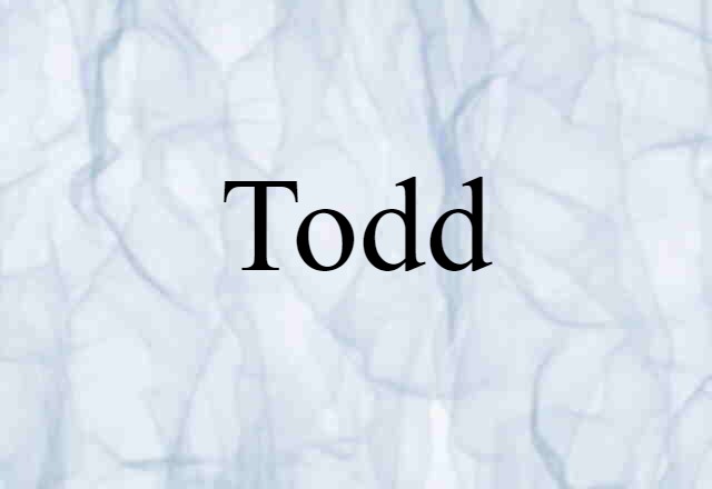 Todd (noun) Definition, Meaning & Examples