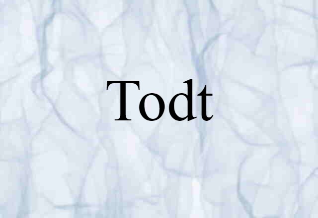 Todt (noun) Definition, Meaning & Examples