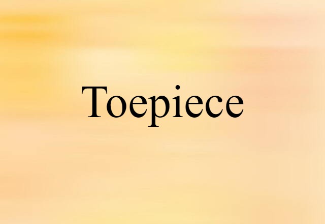 Toepiece (noun) Definition, Meaning & Examples