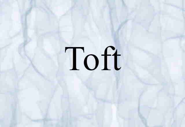 Toft (noun) Definition, Meaning & Examples