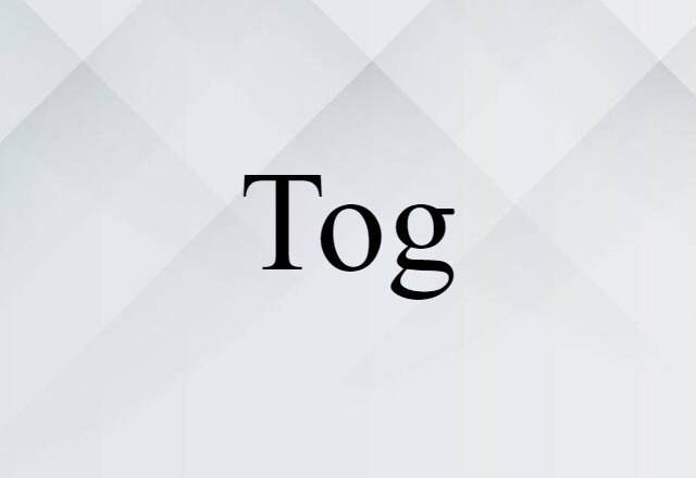 Tog (noun) Definition, Meaning & Examples