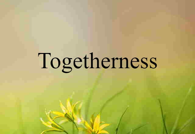 Togetherness (noun) Definition, Meaning & Examples