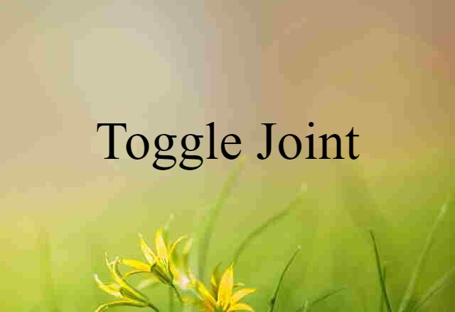 toggle joint