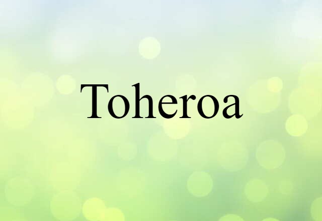 Toheroa (noun) Definition, Meaning & Examples