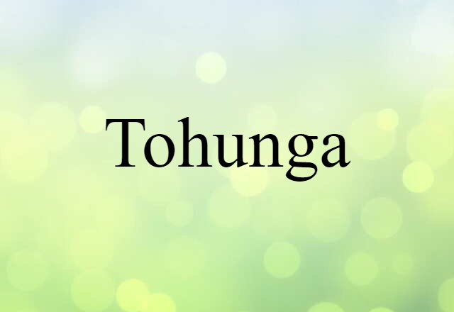 Tohunga (noun) Definition, Meaning & Examples