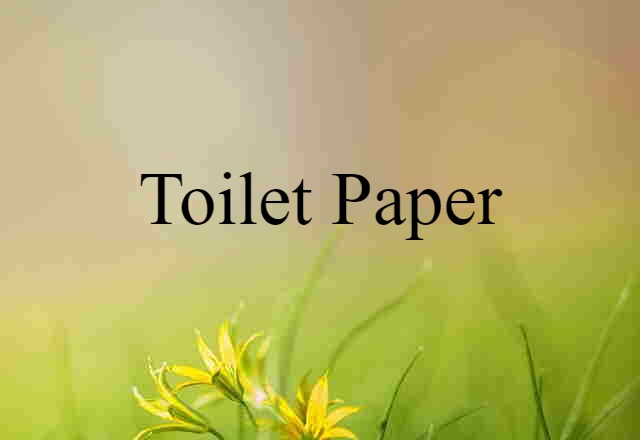 Toilet Paper (noun) Definition, Meaning & Examples