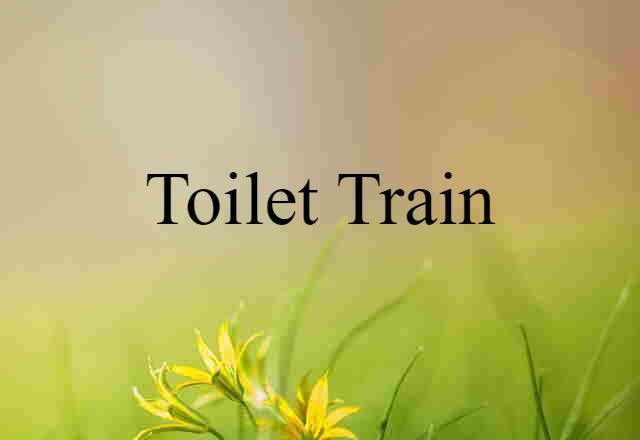 Toilet-train (noun) Definition, Meaning & Examples