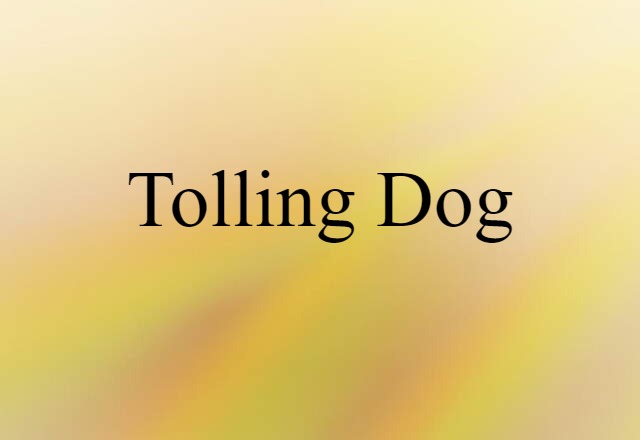 Tolling Dog (noun) Definition, Meaning & Examples