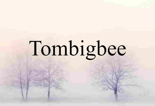 Tombigbee (noun) Definition, Meaning & Examples