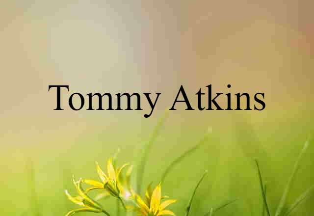 Tommy Atkins