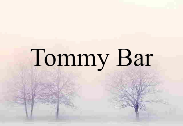 Tommy Bar (noun) Definition, Meaning & Examples