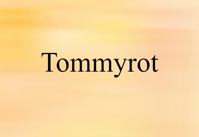 Tommyrot (noun) Definition, Meaning & Examples