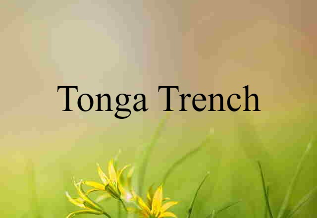 Tonga Trench (noun) Definition, Meaning & Examples