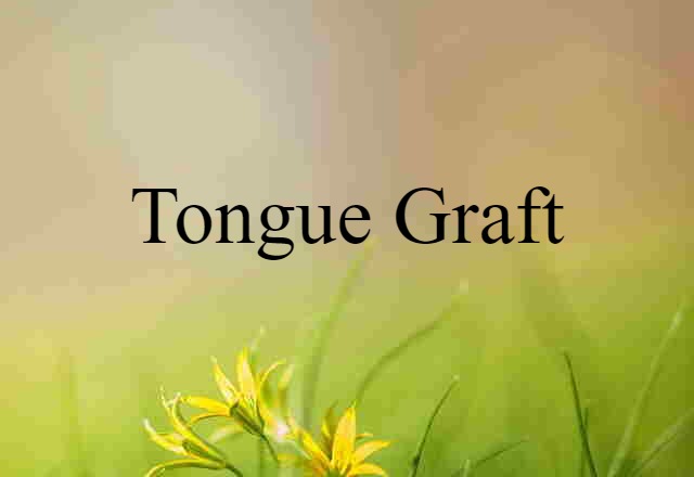 Tongue Graft (noun) Definition, Meaning & Examples