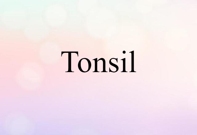 tonsil