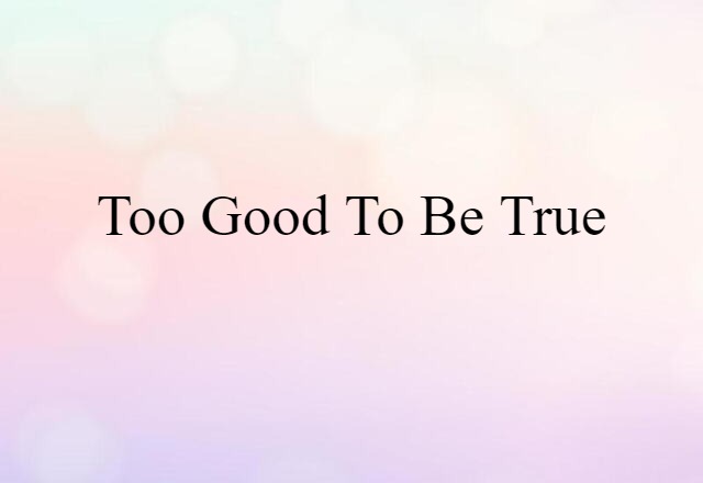 Too Good To Be True (noun) Definition, Meaning & Examples