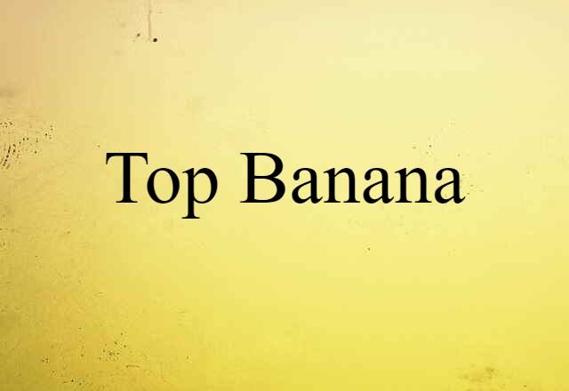 Top Banana (noun) Definition, Meaning & Examples