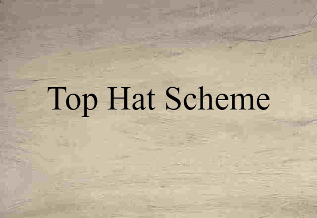 Top-hat Scheme (noun) Definition, Meaning & Examples