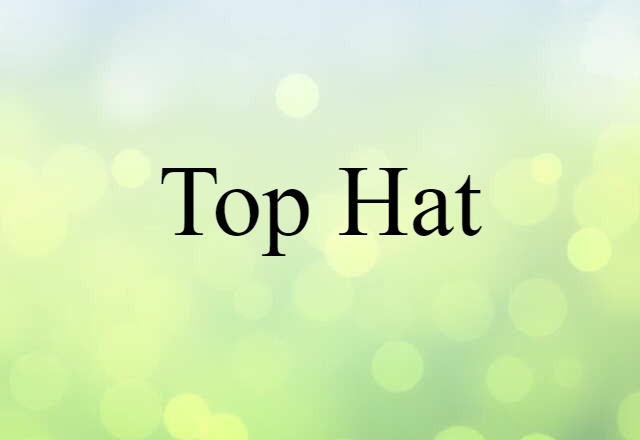 Top Hat (noun) Definition, Meaning & Examples