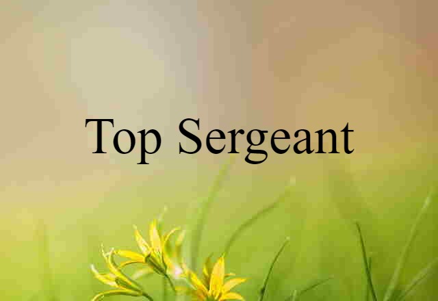 top sergeant