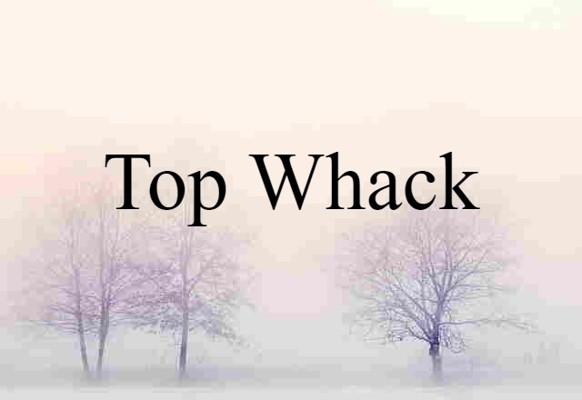 Top Whack (noun) Definition, Meaning & Examples