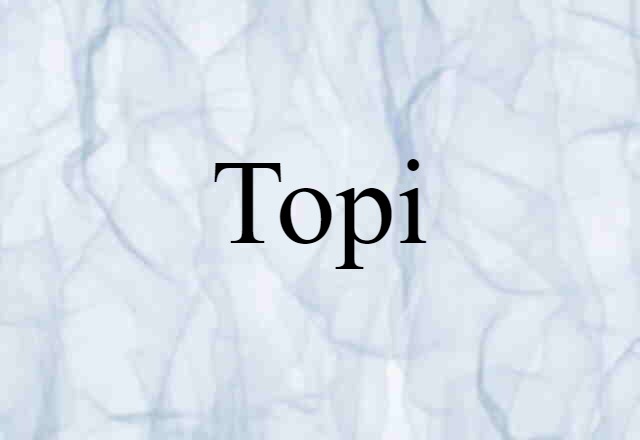 Topi (noun) Definition, Meaning & Examples