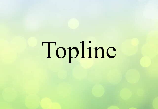 Topline (noun) Definition, Meaning & Examples