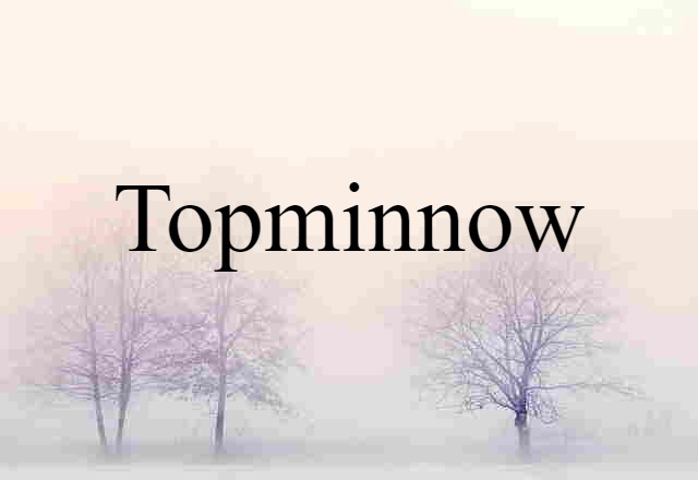 Topminnow (noun) Definition, Meaning & Examples