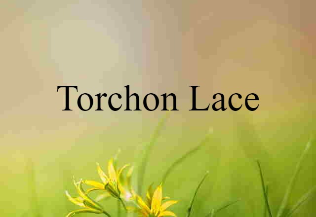 torchon lace