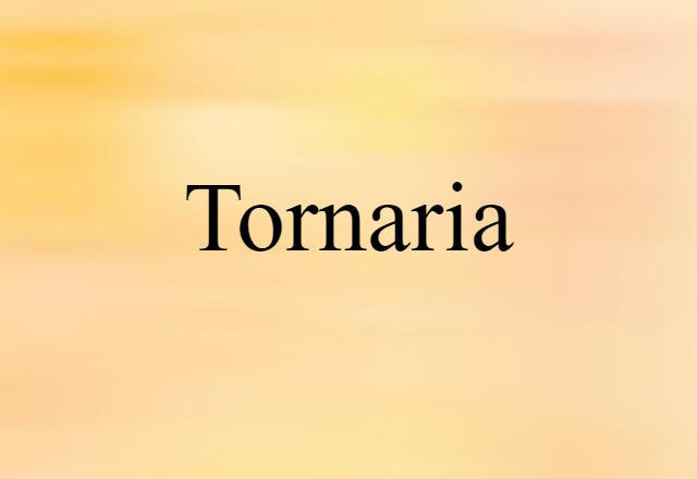 tornaria