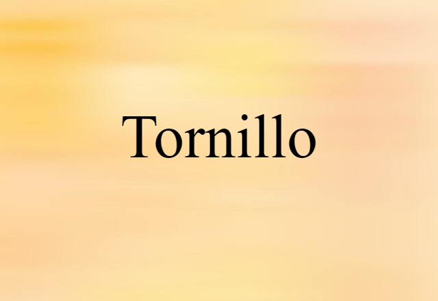 Tornillo (noun) Definition, Meaning & Examples