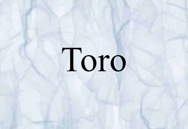 Toro (noun) Definition, Meaning & Examples