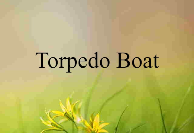 Torpedo Boat (noun) Definition, Meaning & Examples