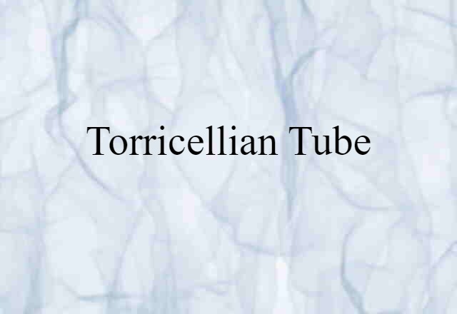 Torricellian Tube (noun) Definition, Meaning & Examples