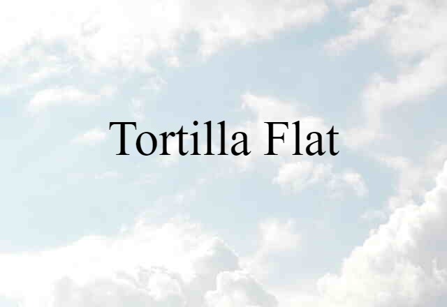 Tortilla Flat (noun) Definition, Meaning & Examples