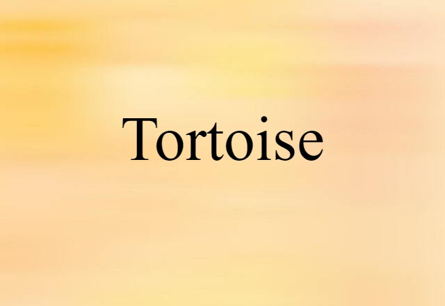 Tortoise (noun) Definition, Meaning & Examples