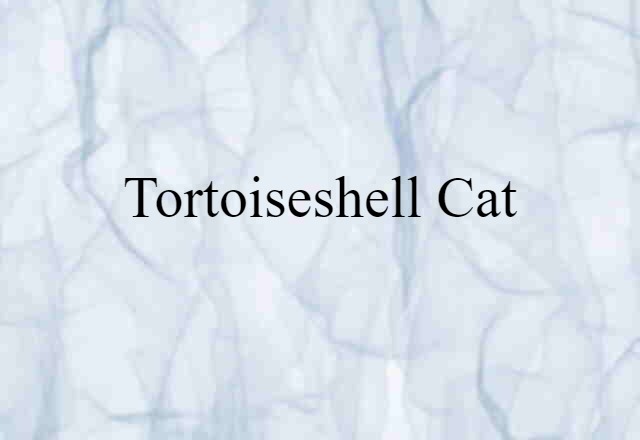 Tortoiseshell Cat (noun) Definition, Meaning & Examples