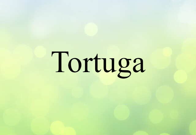 Tortuga