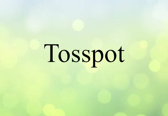 tosspot